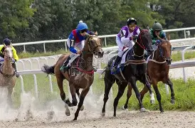 米兰体育网页版-马赛横扫马德里竞技,坎特爆发神勇的简单介绍