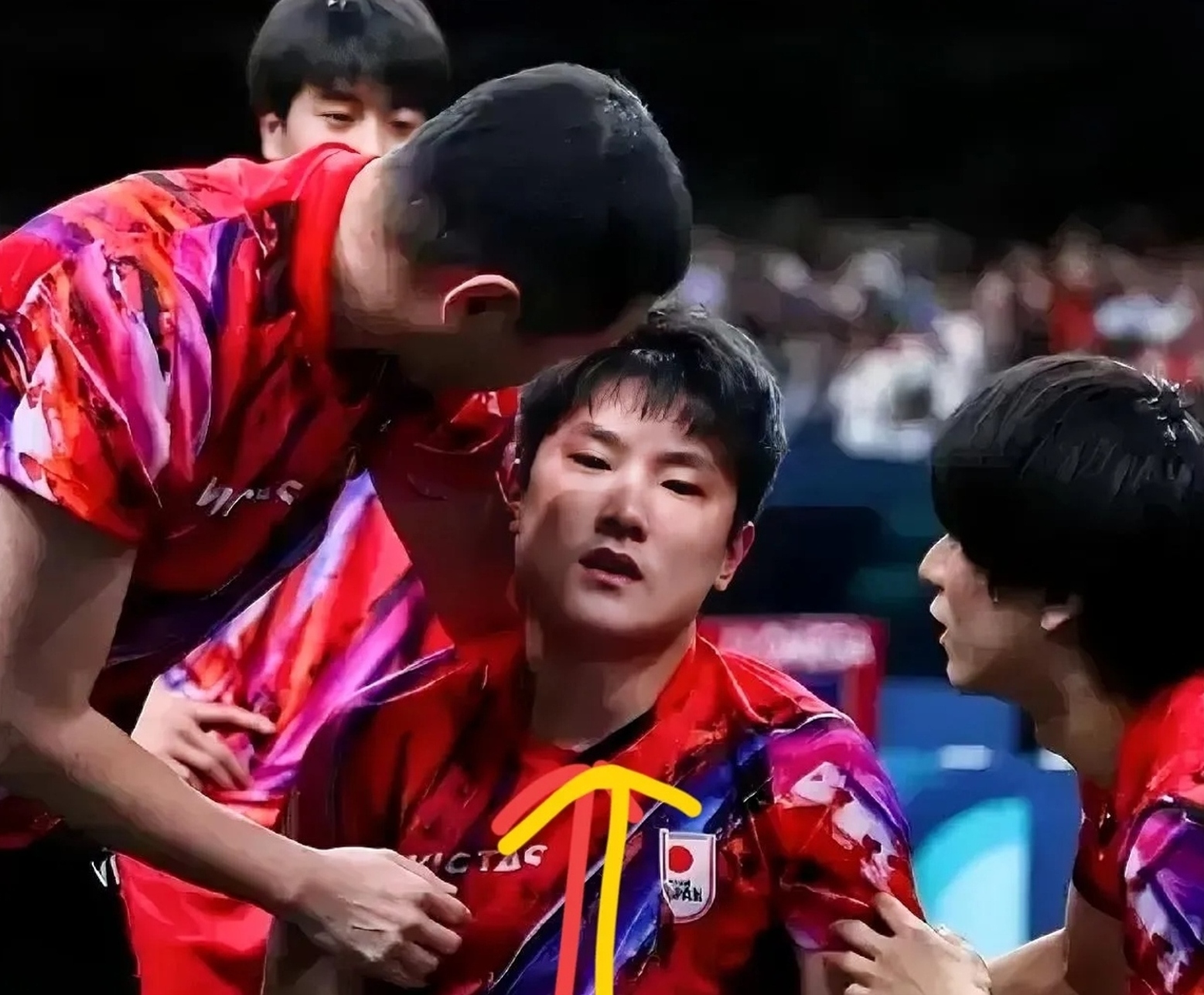 包含波兰乒乓球队力克德国乒乓球队，张本智和爆发神勇的词条