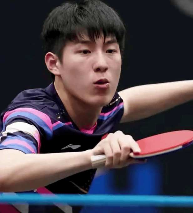 中国乒乓球队爆冷比利时乒乓球队，波尔打破历史纪录的简单介绍